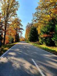 Road amidst trees against sky during autumn