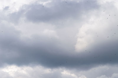Low angle view of sky