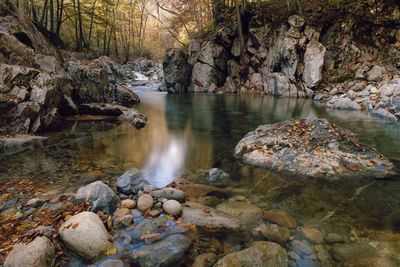 Torrent in the woods in autumn, piedmont - italy