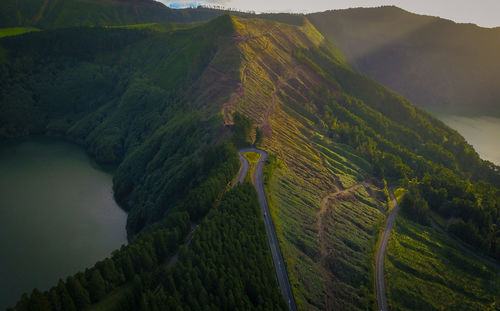 High angle view of agricultural field