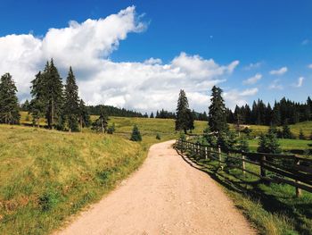 Panoramic view of road amidst trees against sky