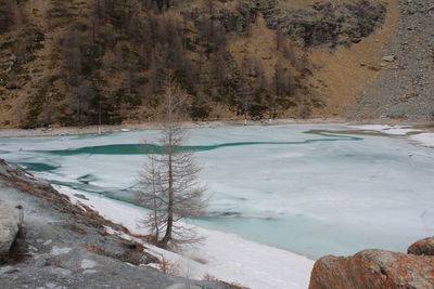 Scenic view of snow covered land