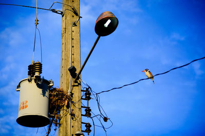 Low angle view of bird perching on cable