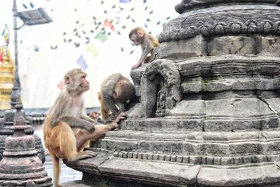 Statue against temple building