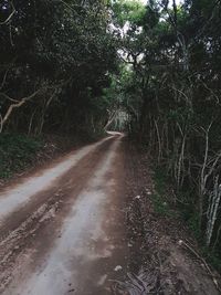 Road amidst trees in forest