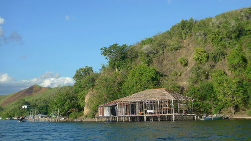 House by trees and building against sky