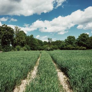 Scenic view of field against cloudy sky