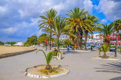 Palm trees on beach against sky