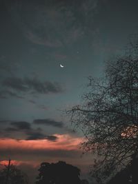 Low angle view of silhouette trees against sky at night