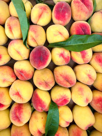 Full frame shot of fruits for sale in market