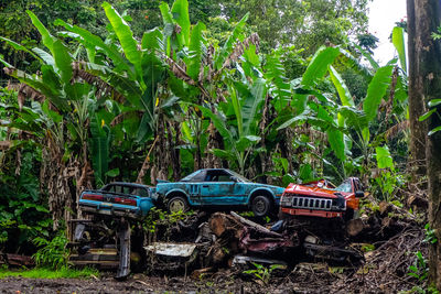 Abandoned car on field