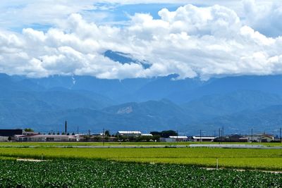 Scenic view of field against sky