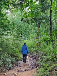 Rear view of man walking in forest