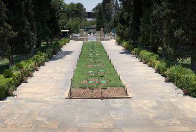 Footpath in park