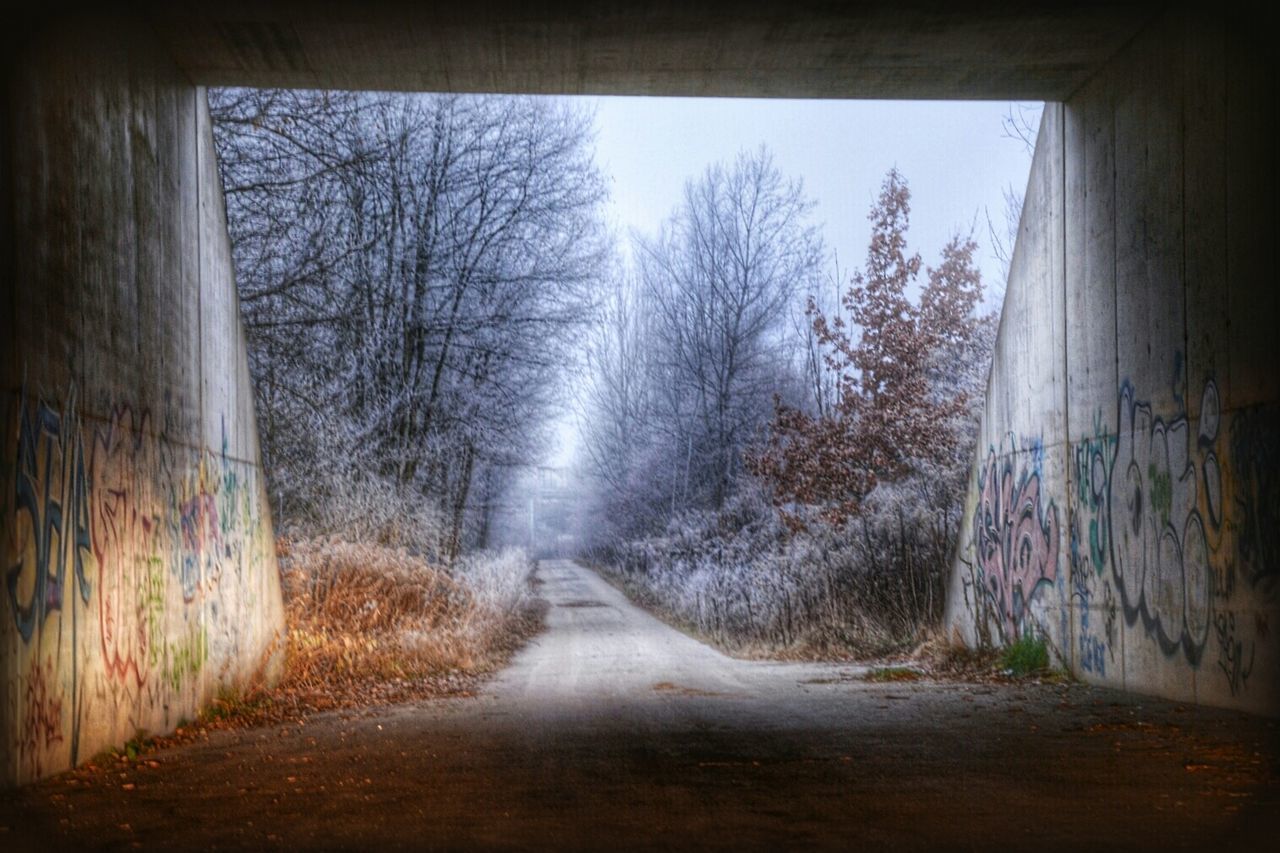 the way forward, transportation, tree, road, diminishing perspective, vanishing point, bare tree, street, sky, day, dirt road, country road, empty, long, no people, empty road, nature, built structure, outdoors