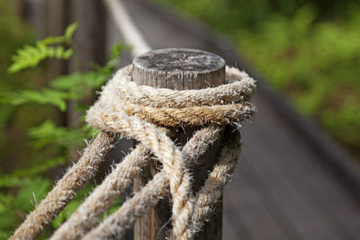 Rope wrapped around wooden stick as railing at footpath in the forest