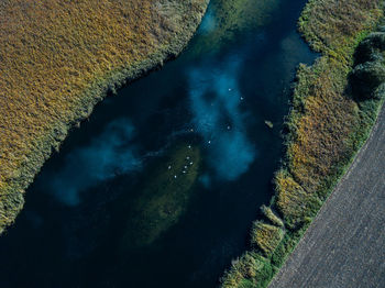 High angle view of rocks in sea