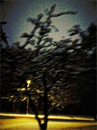 Silhouette trees against sky