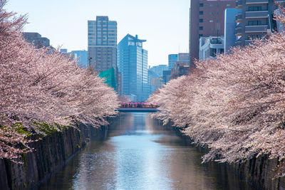 View of canal amidst buildings in city