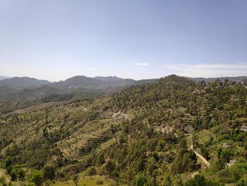 Scenic view of vineyard against sky