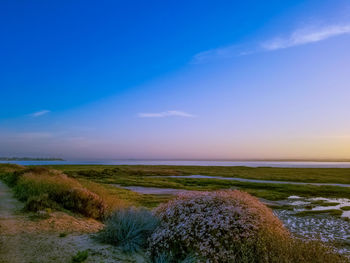 Scenic view of landscape against blue sky