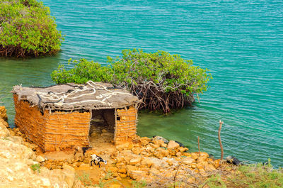 High angle view of goats by mud hut on shore