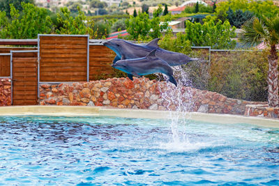 View of swimming pool in sea