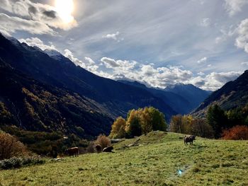 Scenic view of landscape against sky