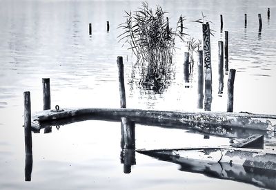 Reflection of wooden post in lake