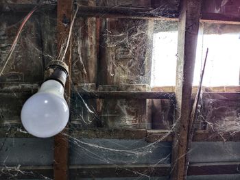 Low angle view of old light bulb