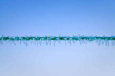 Close-up of snow on rope