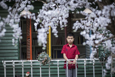 Portrait of woman standing by cherry blossom