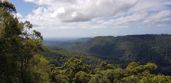 Scenic view of forest against sky