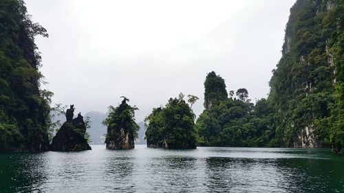 Trees by river against sky