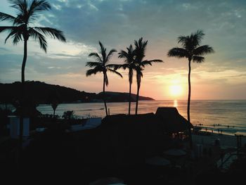 Silhouette of palm trees at sunset