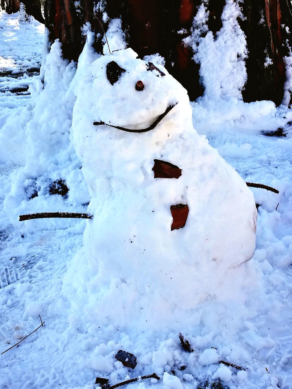 snow, winter, cold temperature, white color, weather, snowman, white, nature, no people, day, outdoors, frozen, field, beauty in nature, close-up