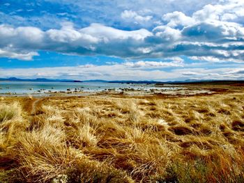 Scenic view of beach against sky