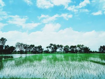 Scenic view of field against sky