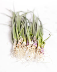 Close-up of pineapple on table