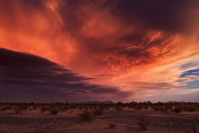 Scenic view of field against sky at sunset