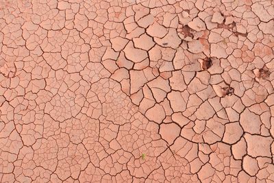 Full frame shot of cracked land