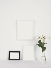 White flowers in vase against wall