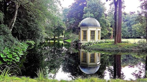 Reflection of trees in water