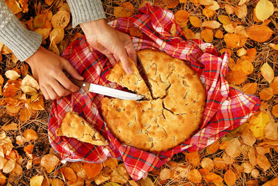 High angle view of woman holding maple leaves