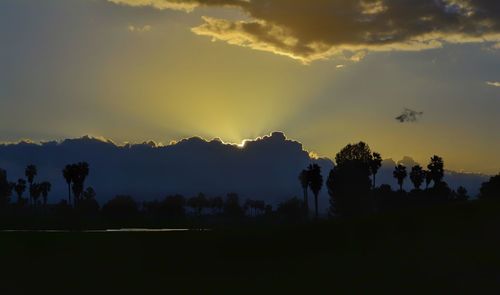 Silhouette trees against sky during sunset