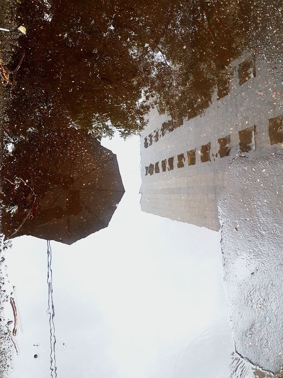 architecture, water, tree, nature, built structure, no people, reflection, plant, day, cold temperature, winter, sky, snow, puddle, waterfront, outdoors, transportation, building exterior