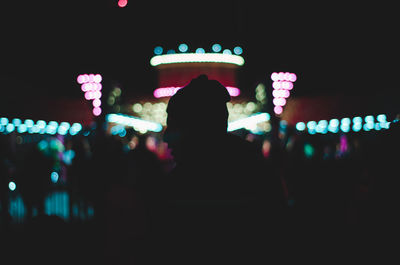 Rear view of silhouette people at music concert