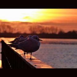 View of sky at sunset