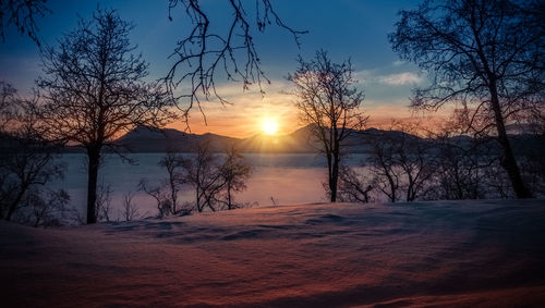 Bare trees on snow covered landscape during sunset
