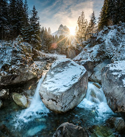 Snow covered rocks by trees in forest against sky